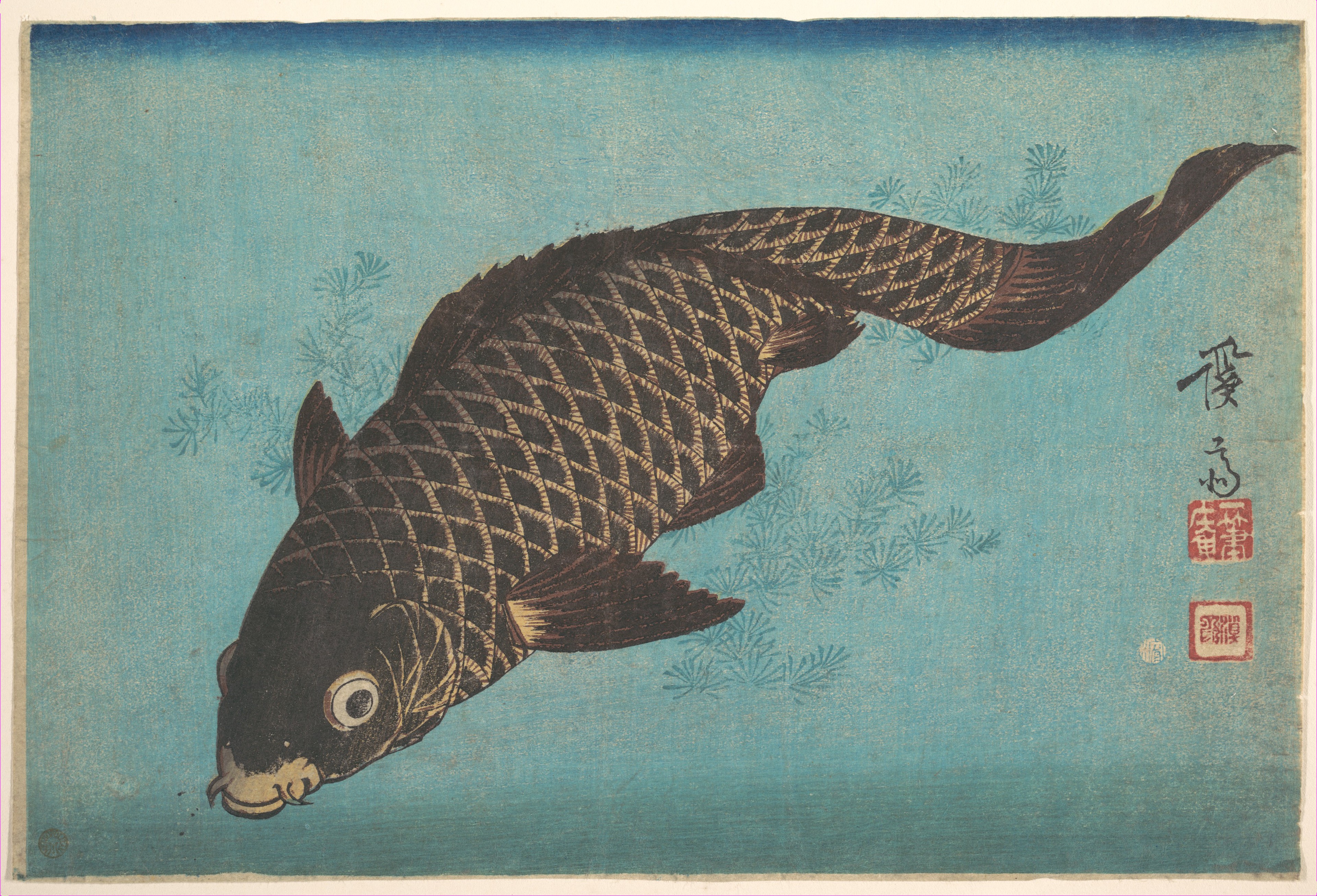 Koi fish by Keisai Eisen
